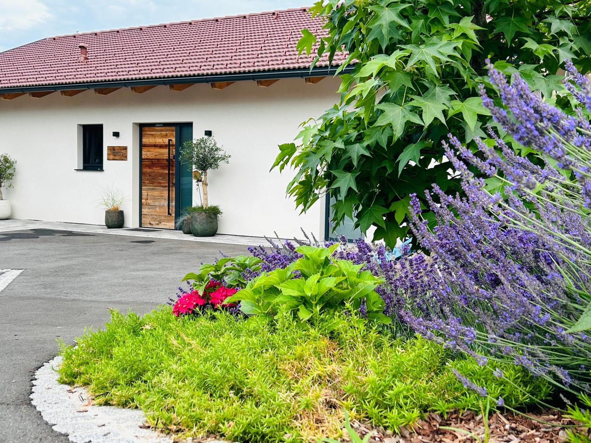 Traumhaus In Den Weinbergen - Max 8 Personen - Mit Self-Check-In Villa Sankt Stefan ob Stainz Exterior foto